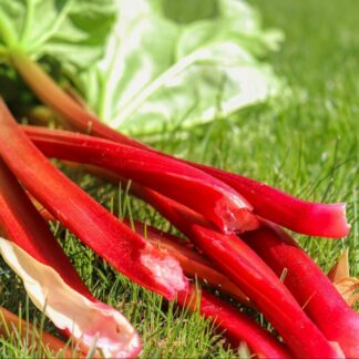 Seemned punane rabarber (tekst pakendil on saksakeelne)