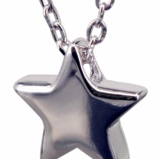 Hõbedane kaelakee, tärnripatsiga, sileda ketiga