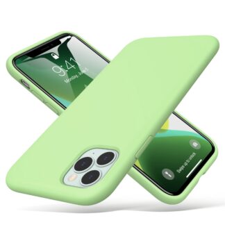 iPhone 11 Pro Max telefonikaaned, roheline, põrutuskindel