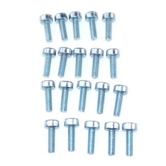 Soontega kruvid mootorsaele ja trimmerile (20tk, M5x20)