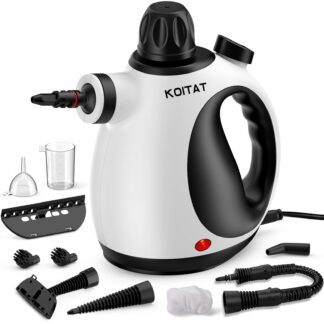 Kaasaskantav aurupuhasti kodu ja auto jaoks (10tk)