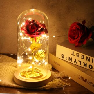 LED valgustusega roos klaaskuplis