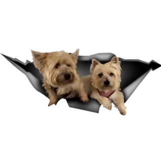 Kutsudega kleebis autole või seinale, hõbedane (25cm)