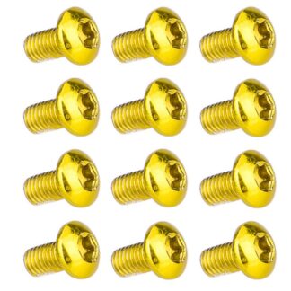 Jalgratta piduriketta kruvid (12tk, M5x10mm)